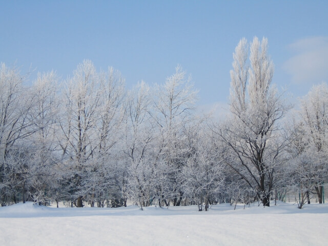 北海道の冬の生活の現実を細か～く紹介します
